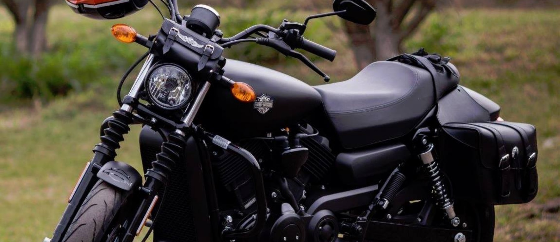 Harley davidson hard on sale saddlebags